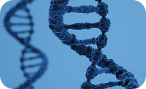 Тип сахарного диабета - MODY