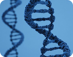 Панкреатогенный сахарный диабет